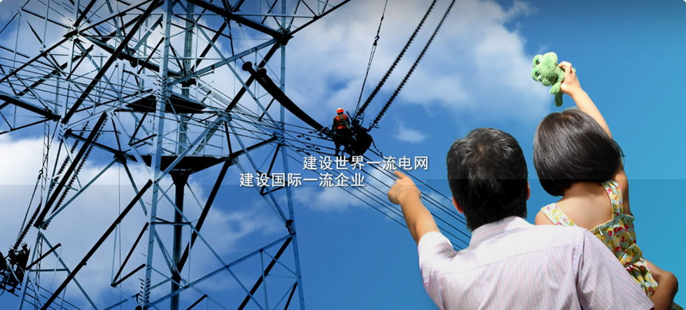 蘇瑞電氣