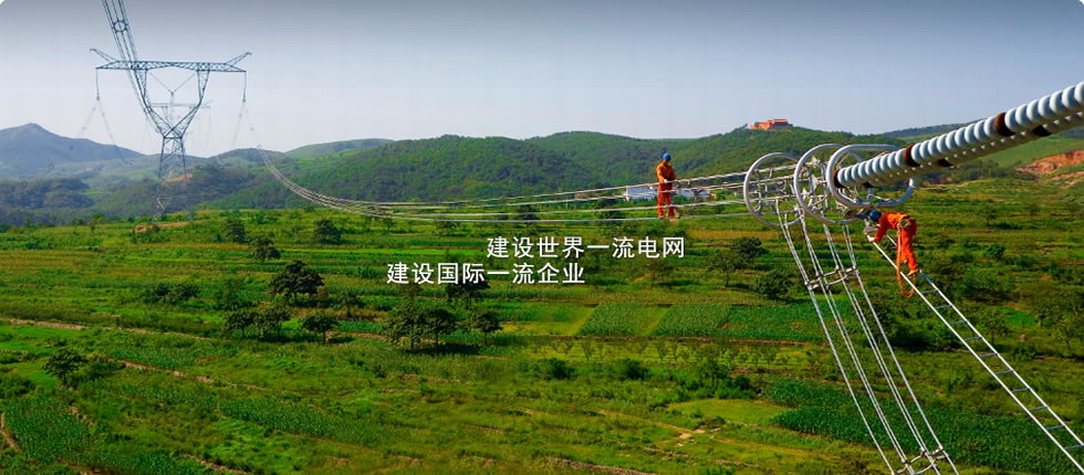 蘇瑞電氣